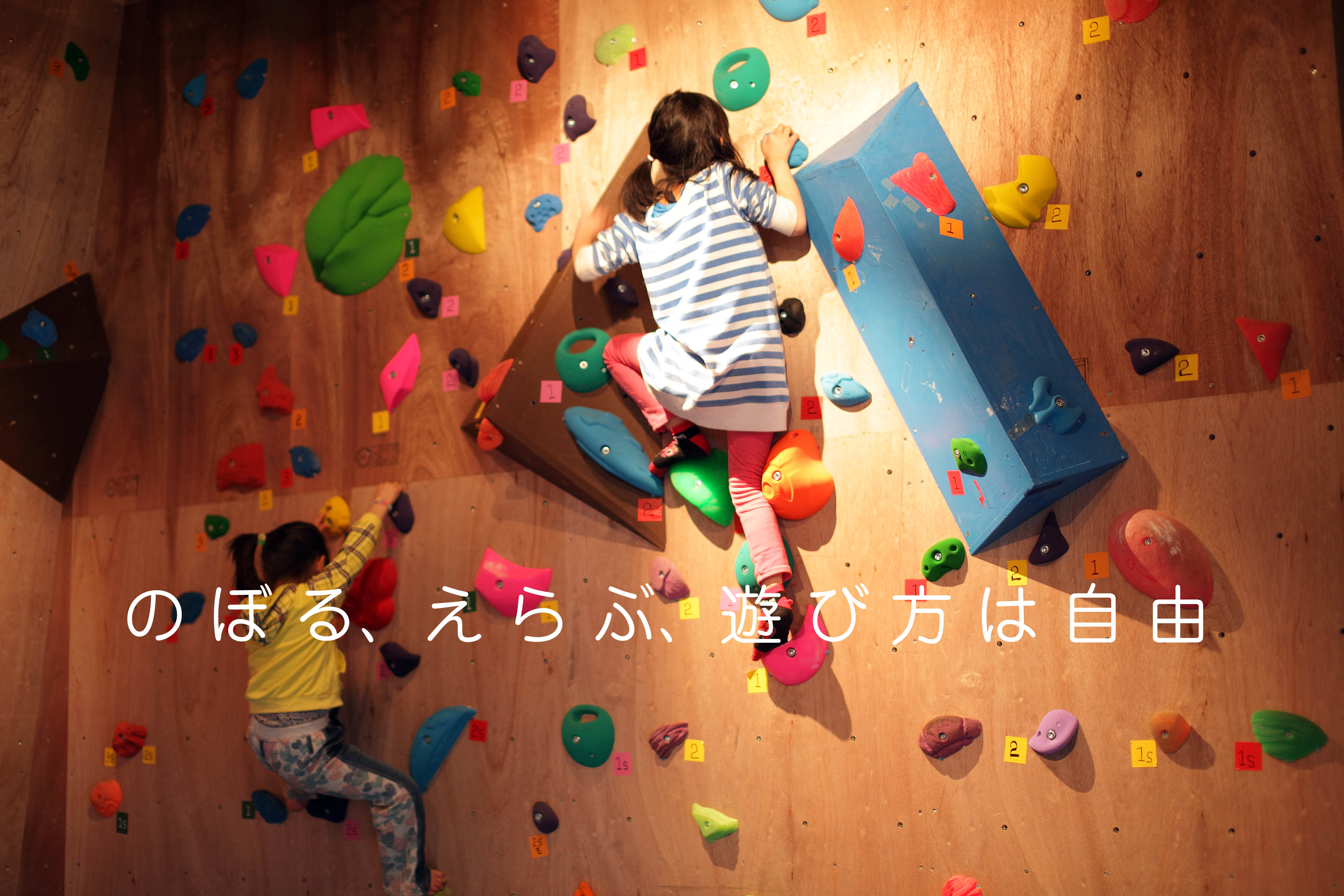 DPP07DF04020B2240
